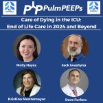 73. PulmPEEPs and ATS Critical Care Assembly: Dying in the ICU