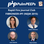 115. RFJC – FIBRONEER-IPF